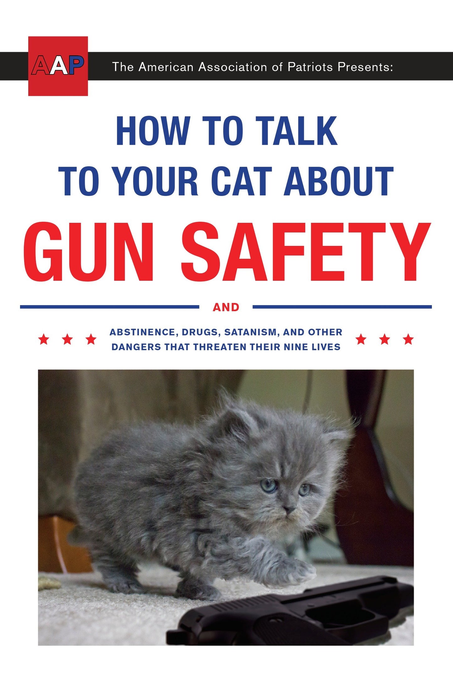 HOW TO TALK TO YOUR CAT ABOUT GUN SAFETY - TRADE