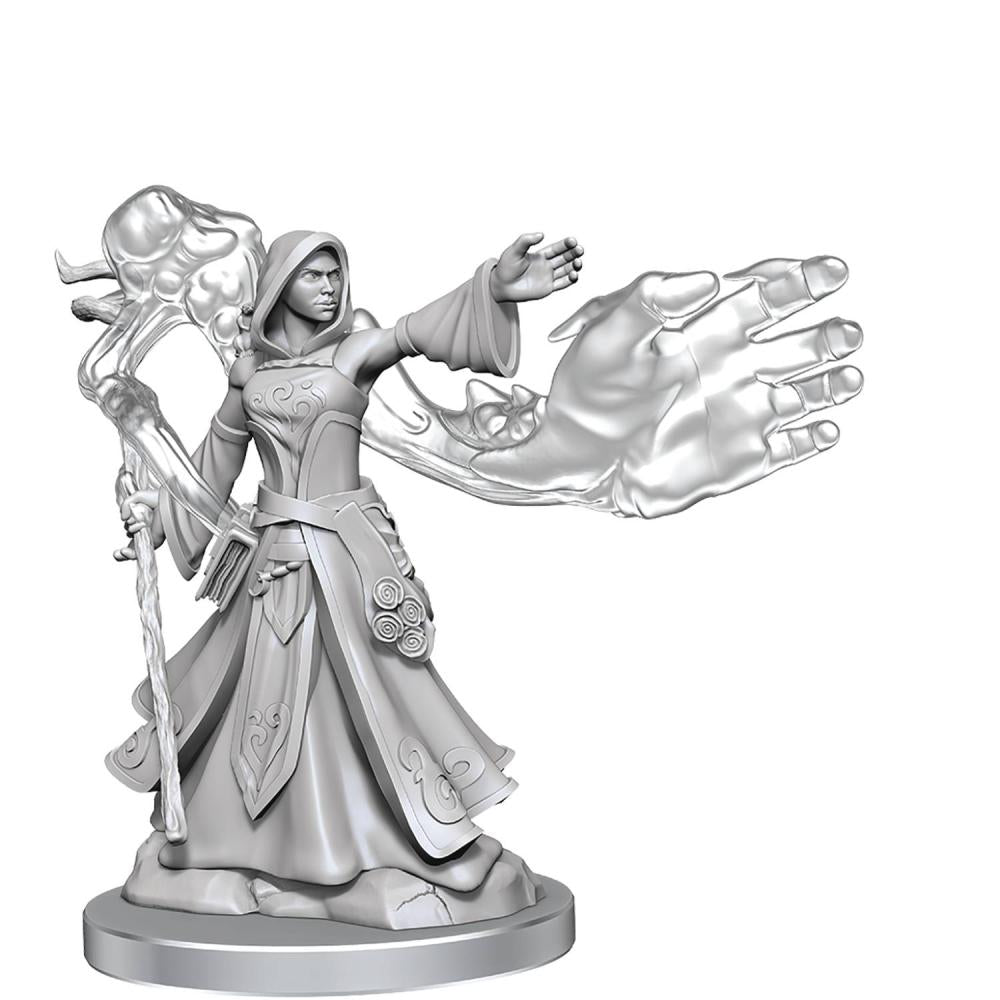 Dungeons & Dragons Frameworks: W01 Elf Wizard Female