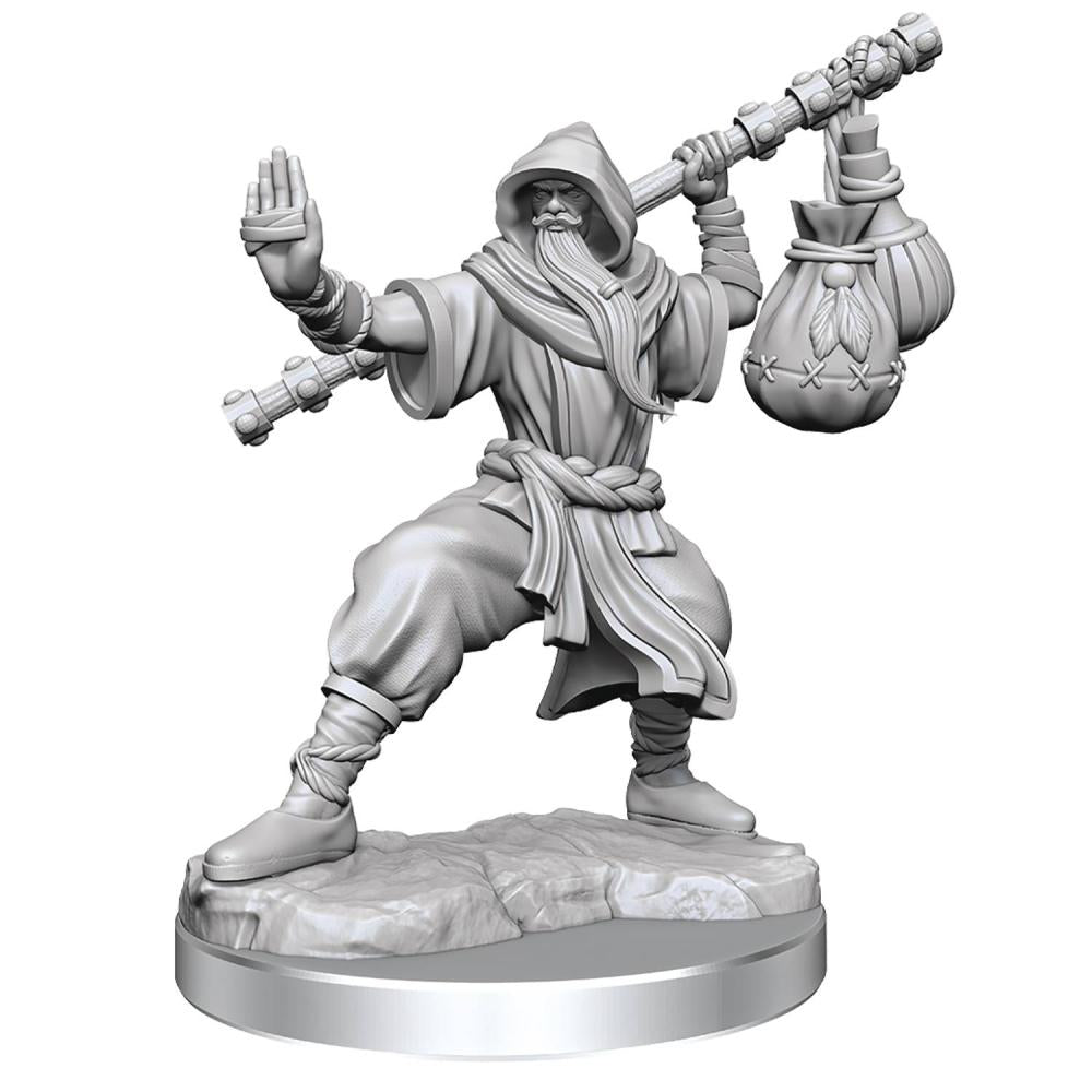 Dungeons & Dragons Frameworks: W01 Human Monk Male
