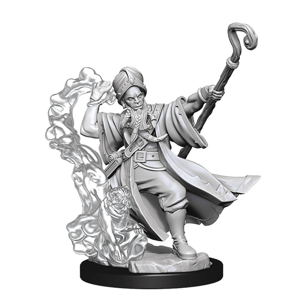 Dungeons & Dragons Frameworks: W01 Human Wizard Male
