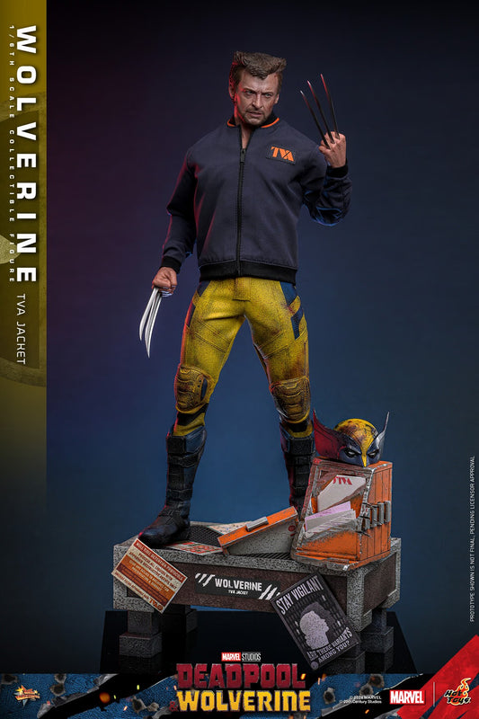 HOT TOYS MARVEL WOLVERINE TVA JACKET DP3 MMS 756 AF