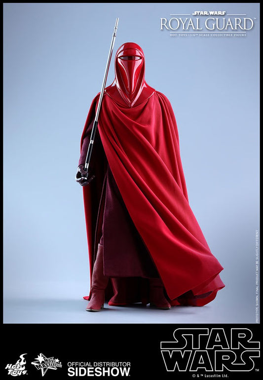 HOT TOYS SW ROYAL GUARD MMS 469 AF