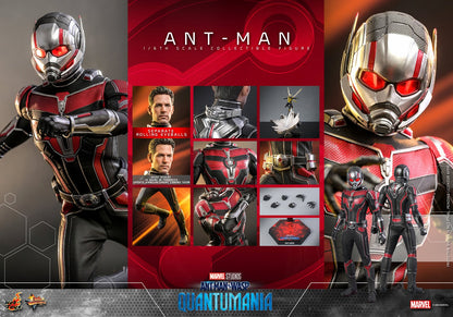 HOT TOYS MARVEL ANT-MAN ANT-MAN AND THE WASP: QUANTUMANIA MMS 690 AF