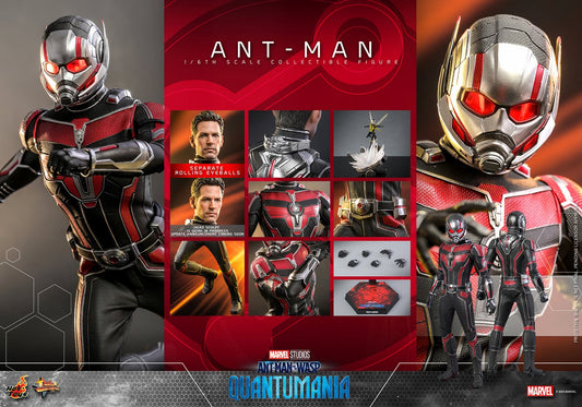 HOT TOYS MARVEL ANT-MAN ANT-MAN AND THE WASP: QUANTUMANIA MMS 690 AF