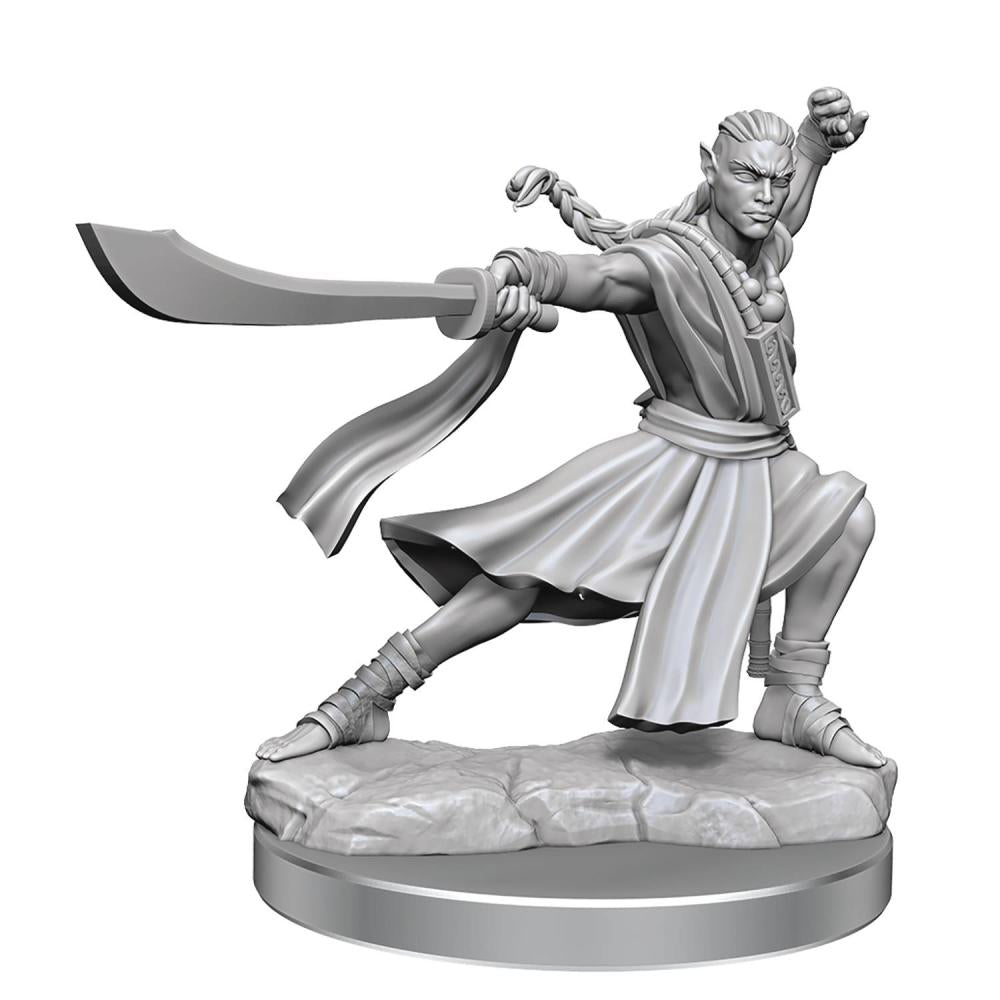Dungeons & Dragons Frameworks: W01 Elf Monk Male