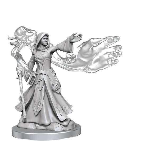 Dungeons & Dragons Frameworks: W01 Elf Wizard Female