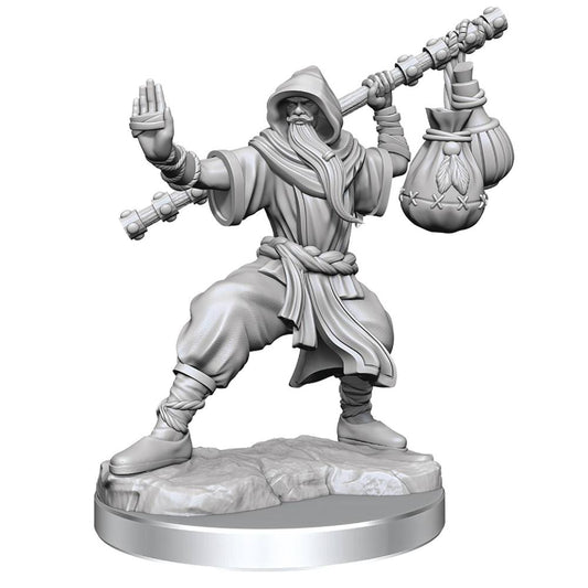 Dungeons & Dragons Frameworks: W01 Human Monk Male