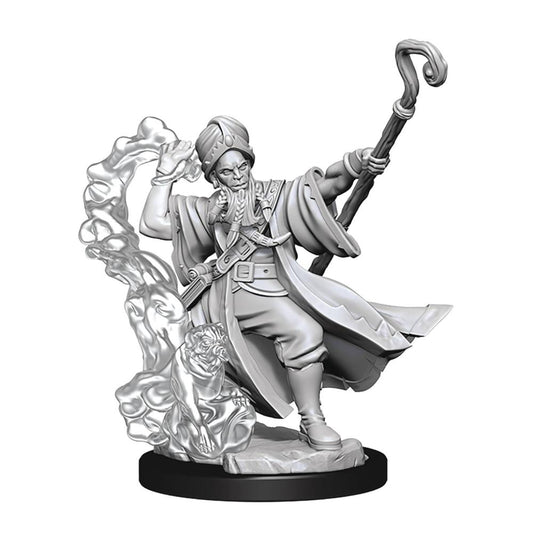 Dungeons & Dragons Frameworks: W01 Human Wizard Male