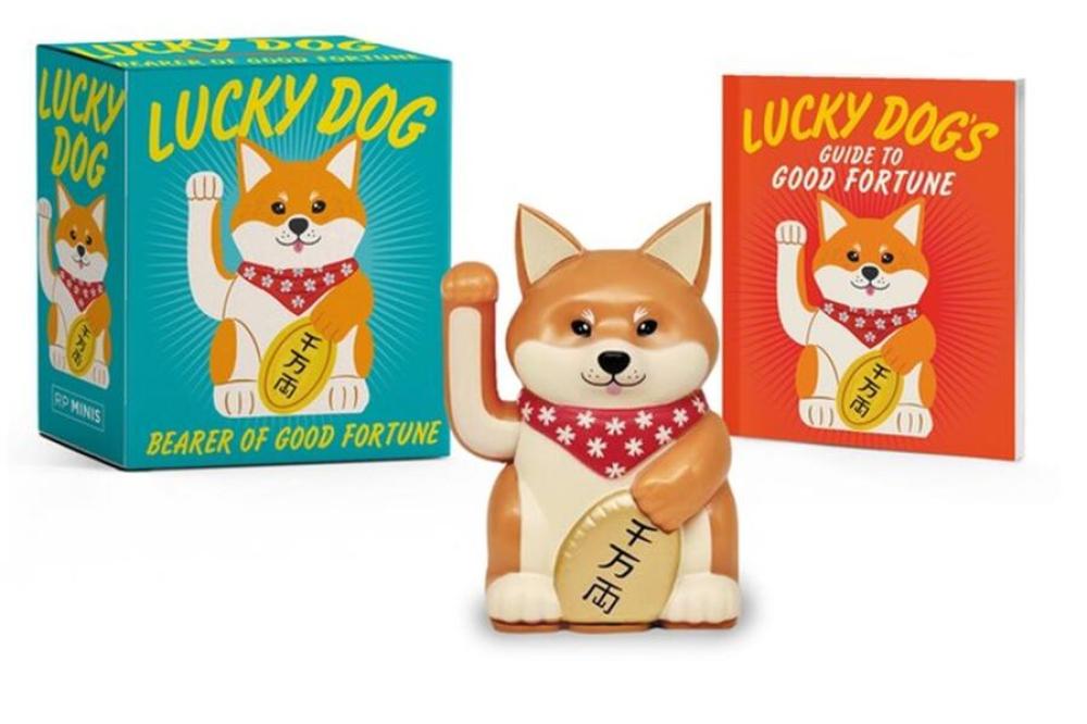 BOOK KIT LUCKY DOG