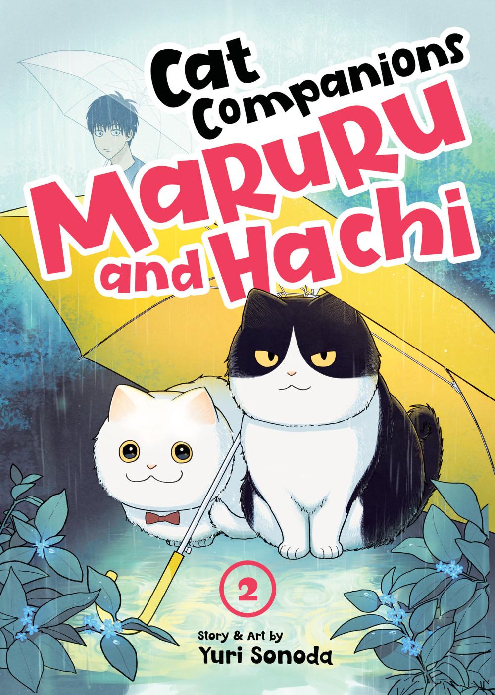 CAT COMPANIONS MARURU AND HACHI GN VOL 02