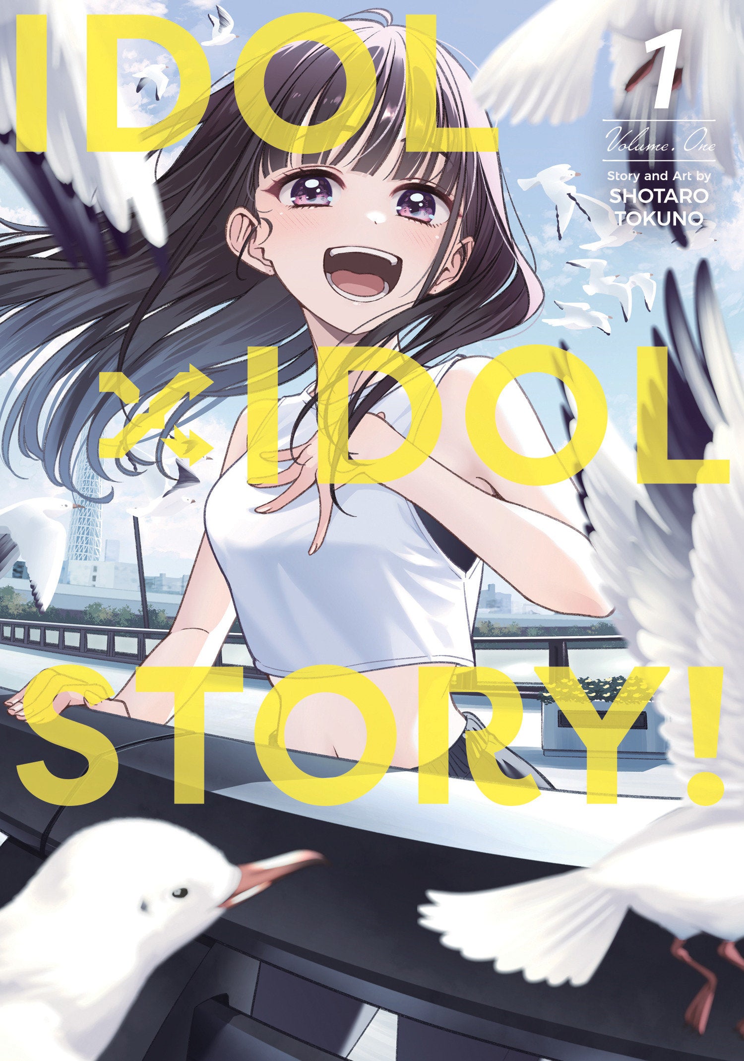 IDOL X IDOL STORY GN VOL 01