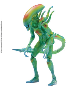 AVP THERMAL VISION ALIEN WARRIOR PX 1/18 SCALE FIG  - Toys and Models